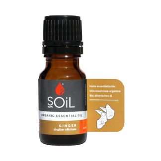 Ginger Oil (Zingiber Officinale) 10ml