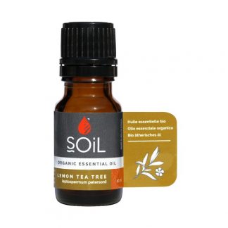 Lemon Tea Tree Oil (Leptospermum Petersonni) 10ml