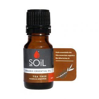 Tea Tree oil (Melaleuca Alternifolia) 10ml
